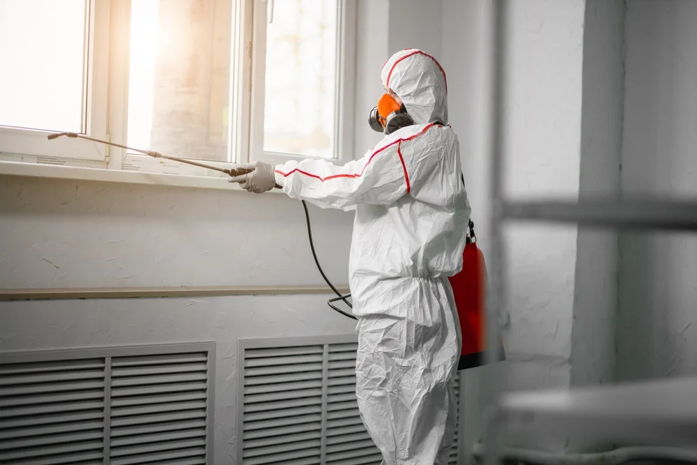 Professional mold remediation services in Wycombe, PA